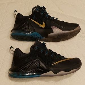 Lebron 12